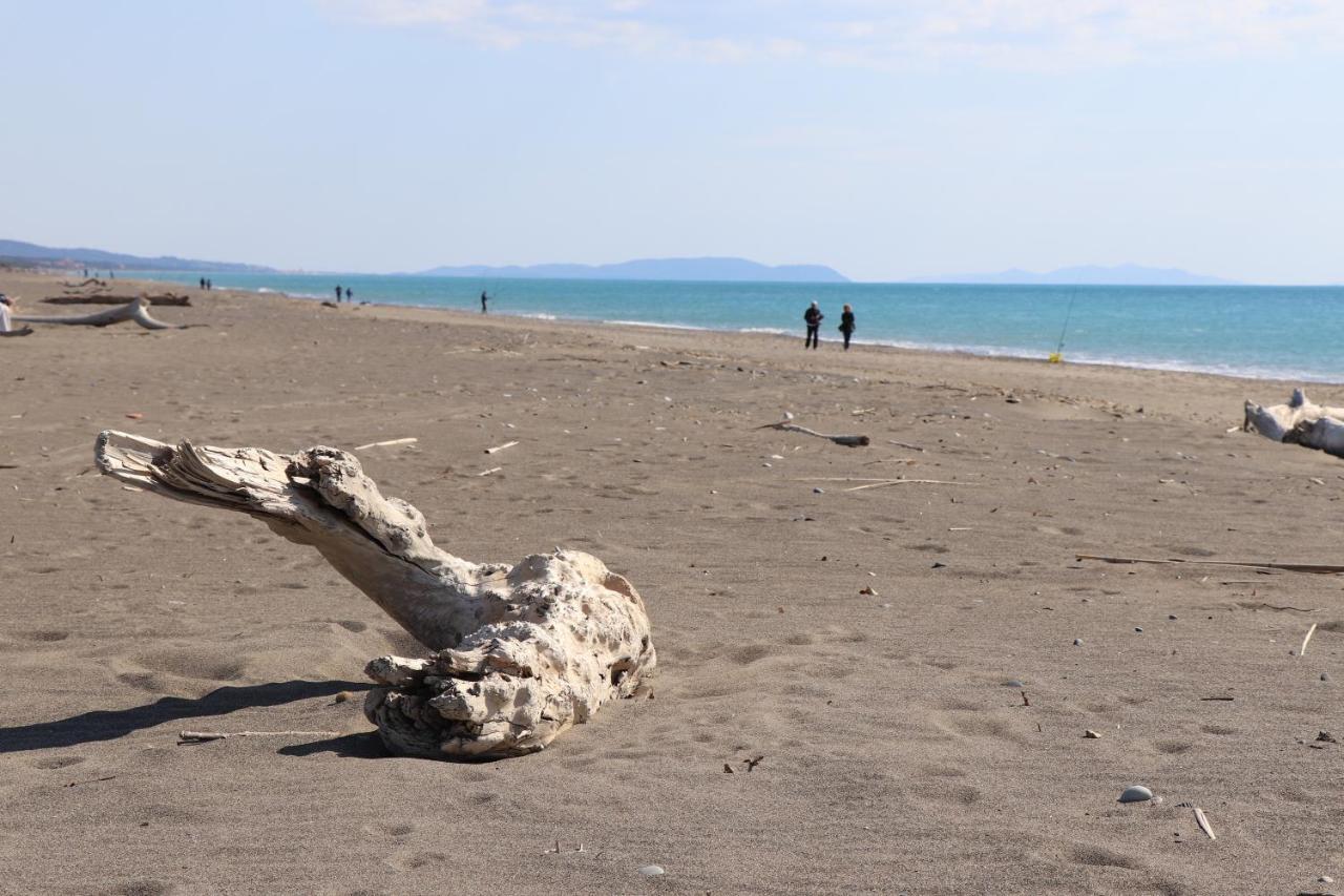 شقة Antiche Fonti بيبونا المظهر الخارجي الصورة